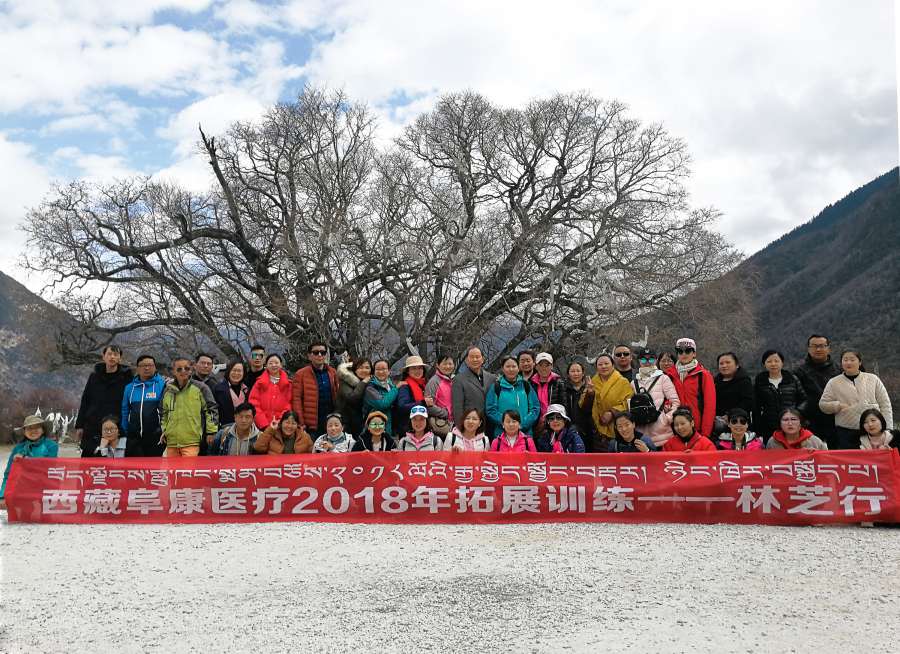 西藏阜康醫(yī)療2018年拓展訓(xùn)練——增強(qiáng)團(tuán)隊(duì)凝聚力、提升團(tuán)隊(duì)協(xié)作能力，更好地為患者服務(wù)