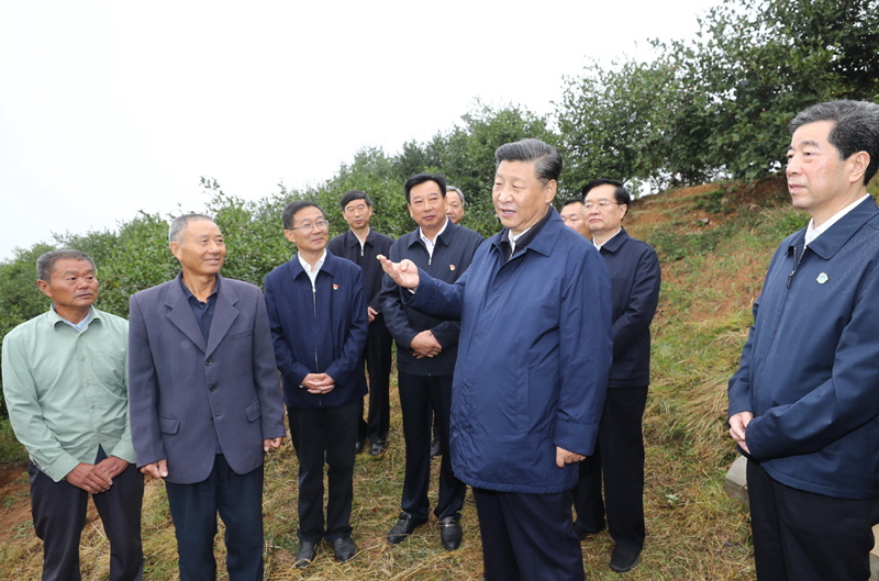 　　9月16日至18日，中共中央總書記、國家主席、中央軍委主席習近平在河南考察。這是17日上午，習近平來到信陽市光山縣槐店鄉(xiāng)司馬光油茶園，同正在勞作的村民和管理人員交流。 新華社記者 鞠鵬 攝