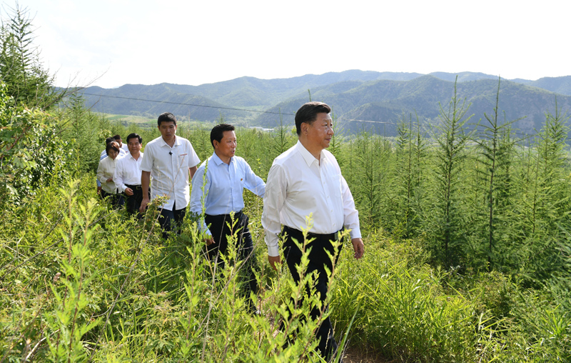 7月15日至16日，中共中央總書記、國(guó)家主席、中央軍委主席習(xí)近平在內(nèi)蒙古考察并指導(dǎo)開展“不忘初心、牢記使命”主題教育。這是15日下午，習(xí)近平在赤峰市喀喇沁旗馬鞍山林場(chǎng)林區(qū)，沿著崎嶇的護(hù)林小道察看林木長(zhǎng)勢(shì)。